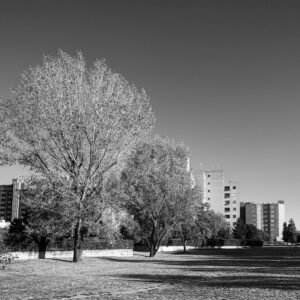 Milan City Park