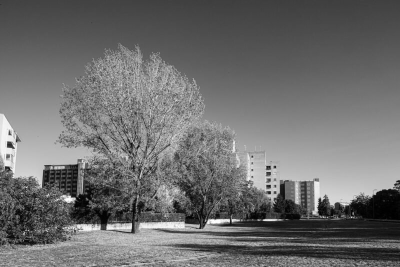 Milan City Park